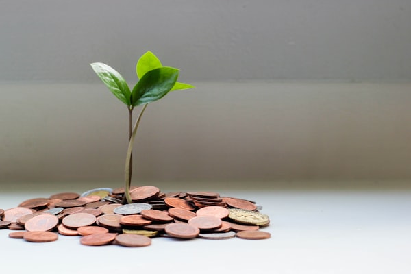 Non-Agriculture Loan
